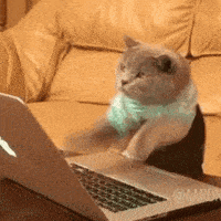 GatoProgramador